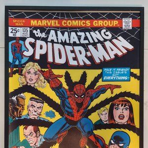 Amazing Spider-Man 135 Comic Cover Silk canvas Fabric Poster (24" x 36" approx)